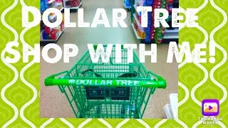 BIG Dollar Tree Walkthrough! 🛒 Let’s go Shopping! September 28, 2023
