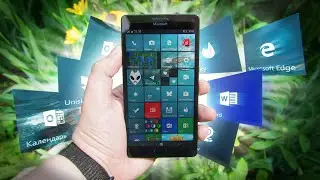 Windows Phone TODAY - History and its status