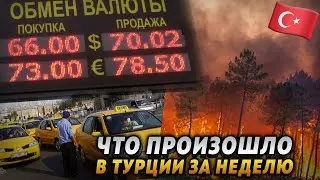 Запрет на вход в леса, падение лиры и рост тарифов такси
