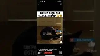 вот спалился