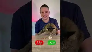 CHEAP VS EXPENSIVE FOOD 