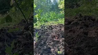 Такое ты в поле не найдёшь!