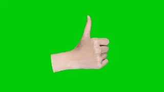 Real Hand Like Green Screen No copyright