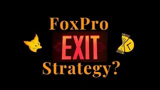 Exit FoxPro / Visual FoxPro Now to Avoid Disaster and Enhance Customer Satisfaction (2023)