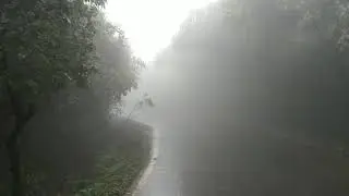 Rain/drive through rain - free stock footage. No Copyright