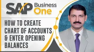 SAP Business One How to Create Chart of Accounts and Enter Opening Balances in Urdu/Hindi