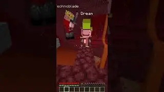 Minecraft: DREAM vs TECHNOBLADE 
