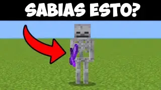 DIFERENCIAS ENTRE Minecraft Java y Minecraft Bedrock #20
