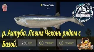 Russian Fishing 4. p. Akhtuba. Point for fishing - Chekhon
