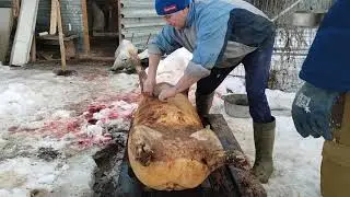 Забойные хлопоты . Часть 1 - ЗАМЫВКА ТУШИ