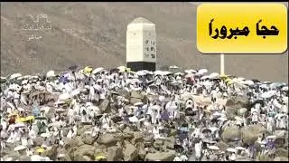 وقفة عرفة - حج عام 1445 هجرية - مباشرة من مشعر عرفات 2024