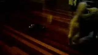 Loki the Malamute and an RC Car - Video 1