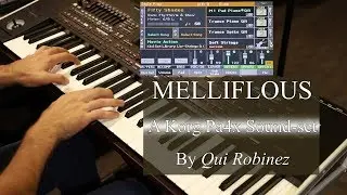 Qui Robinez Melliflous sound-set for Korg Pa4x- Part 1