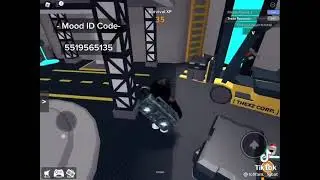 Id mood on Roblox