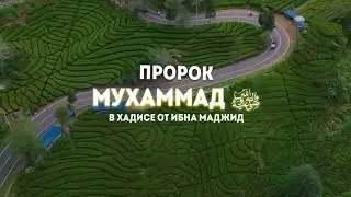 Пророк Мухаммад (мир ему и благословение Аллаха) сказал:..!(@_inshaallah )