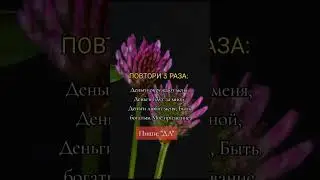2 октября 2023 г.