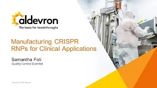 Manufacturing CRISPR RNPs for Clinical Applications