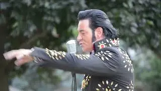 Wonder Of You Cameron Caton Elvis
