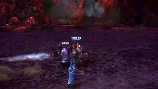New Pet.mp4