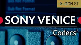 Sony Venice Review  • Ep.05 - 'Codecs'