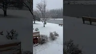 Snow ❄️ storm  #shorts #snow #snowstorm #snowfall