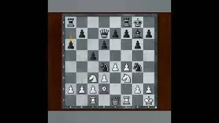 Unstoppable Double Rooks Attack in Sicilian Closed Variation