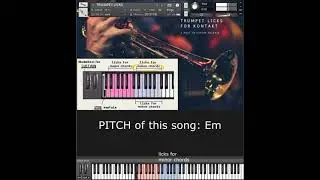 TRUMPET LICKS FOR KONTAKT! DEMO