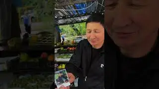 Уличный портрет
