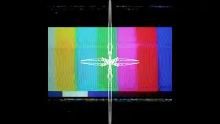 The D//Я Experience®
