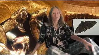 Embrace your Age + Intuitive Sessions Announcement