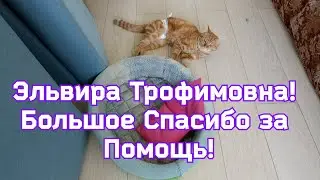 Эльвира Трофимовна! Большое Спасибо за Помощь!