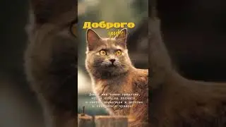 доброе утро!
