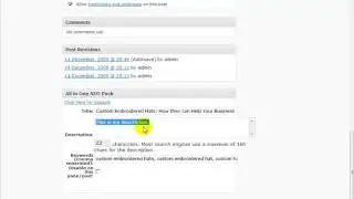 WordPress SEO Tutorial 15 - Creating Title and Keyword Tags for your Post
