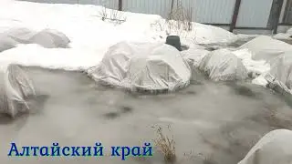Жизнь в селе после города//Что случилось?//Впервые такое..