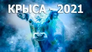 КРЫСА - 2021. ТАРО прогноз