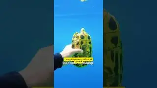 Аллах соединяет творений