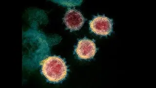 Fermare il coronavirus? Dipende da noi!