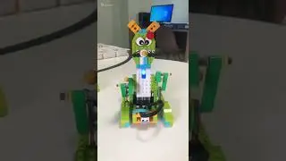 Easter Rabbit Project