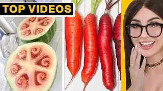 FOOD That Used to Look DIFFERENT | SSSniperWolf