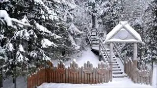 ПАДАЛ СНЕГ. SNOW WAS FALLING. 雪が降っていた. มะกำลังตกลง.ESTABA NEVANDO. बर्फ गिर रहा था. الثلج كان يتساقط