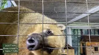 Зоопарк Жива планета у Дніпрі у парку Глоби