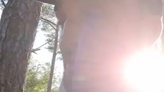 Sei dankbar!