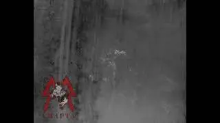 Бои под Донецком: спецгруппа ВСУ нарвалась на бойцов батальона ДНР 