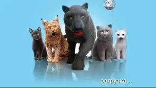 Я ГРОМЛЮ ДОМ!!!!😂😂😂😂