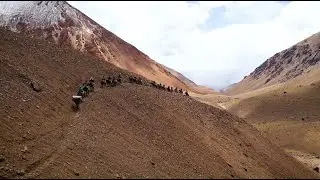 Cruce de Los Andes 2021