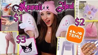 ✨💖 Is TEMU the new Aliexpress?! A Very Kawaii Temu Haul 💖✨