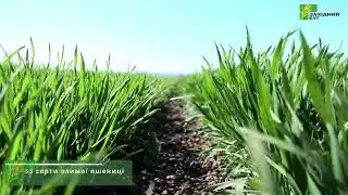 Демонстраційні ділянки від ПП Західний Буг