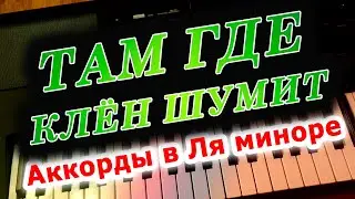 Там где клён шумит - аккорды в Ля миноре на синтезаторе