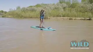 Half Day SUP Kayak Expedition By Wild