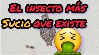 lo puedes tener en tus ZAPATOS 😱